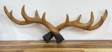 Deer Antler Coat Hook Wall