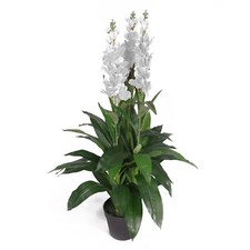 Artificial Cymbidium Orchid