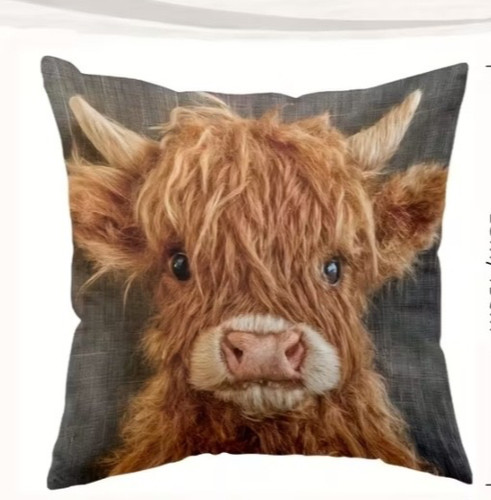 Beautiful highland cow cushion - beautiful,