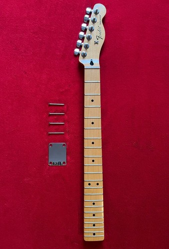 Fender telecaster neck maple - telecaster,