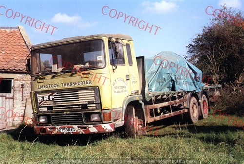 Truck lorry photo - truck/lorry, t