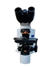 Olympus BX 41 Microscope