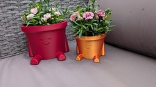 Set of 2x  3d Printed Flower
