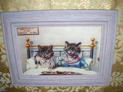 Cats breakfast bed - breakfast, 6