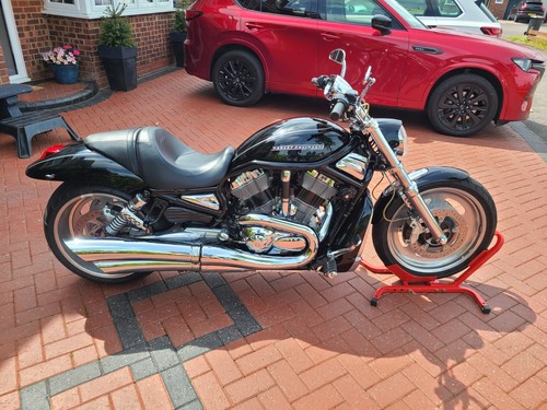 Harley davidson rod 2006 - harley,