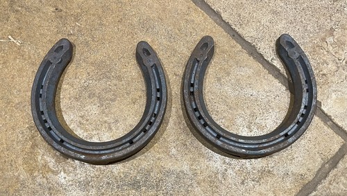 New real horse shoes - 2,