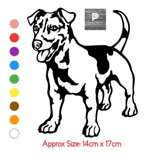 Jack russell dog car van - car,