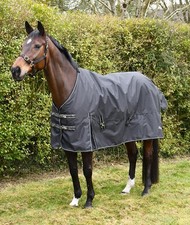 Rhinegold nevada lightweight - rhinegold,