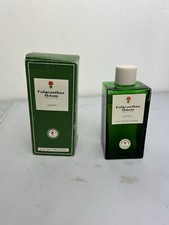 Calcycanthus Adam Cologne BIG