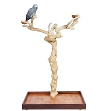 Java Wood II Tree - Medium -