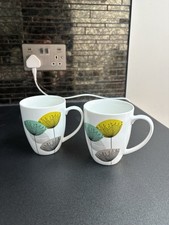 Queens Sanderson dandelion