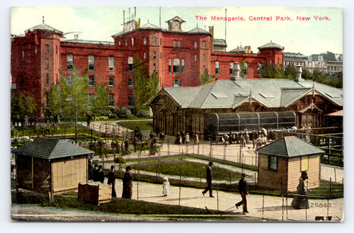 C1911 the menagerie - c1911,