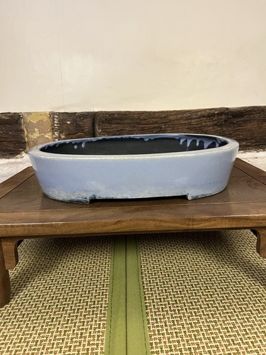 Aiba koyo bonsai - aiba, pot