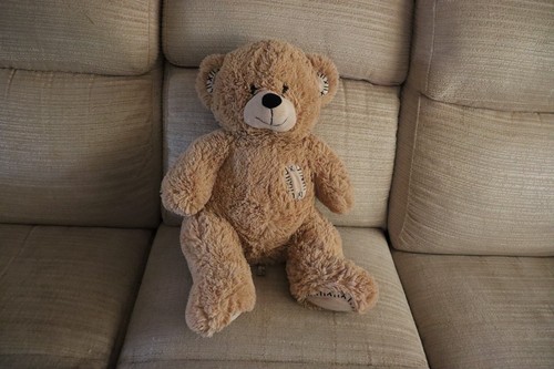 Brown teddy bear - , with