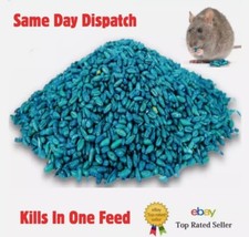 Rat Mouse Poison Grain Bait | Kills In One Feed | 0.5kg 10 Sachets