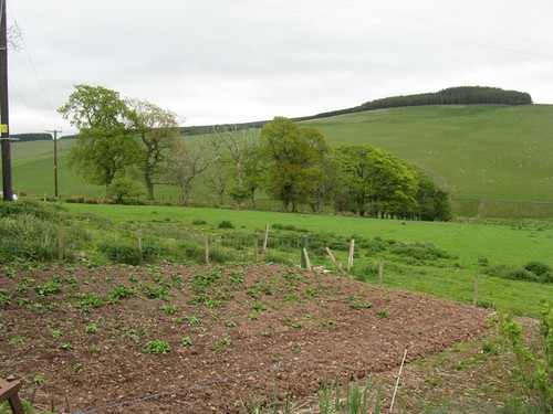 Photo 12x8 farm - farm, at