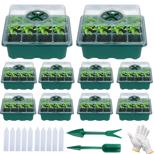 20pcs 12 holes seed - 12,