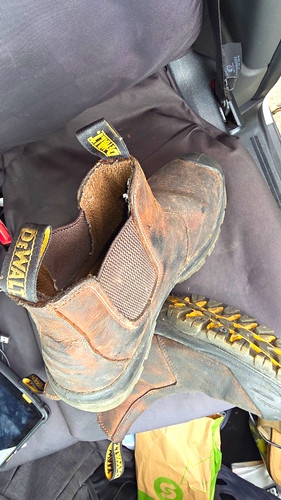 Dewalt nitrogen bison brown - dewalt,