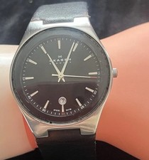 Skagen SKW6039 Quartz Wrist