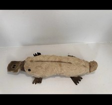 Unusual & very rare Antique skin covered platypus Circa 1930s