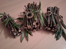 English Willow Sticks. Fresh