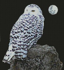 Snowy Owl 2 Counted Cross Stitch Kit 10" x 11" 25.6cm x 28cm 14 Count