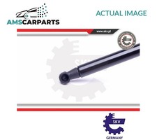 TAILGATE BOOT STRUT REAR