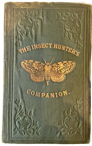 The insect hunters companion - insect,