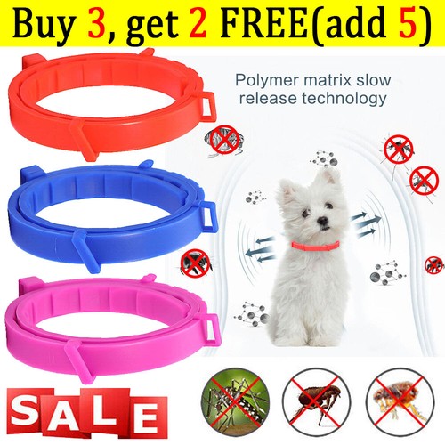 For dog cat pet - cat,