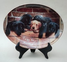 Black & Golden Labrador Puppies Collector Plate Take Me Home Franklin Mint