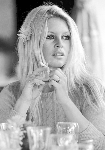 Brigitte bardot monochrome - brigitte,