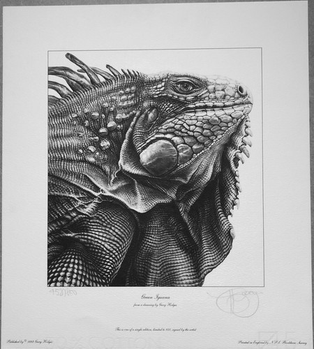 Gary hodges signed limited - gary,