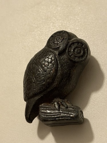 Small owl branch 1 5 - small,