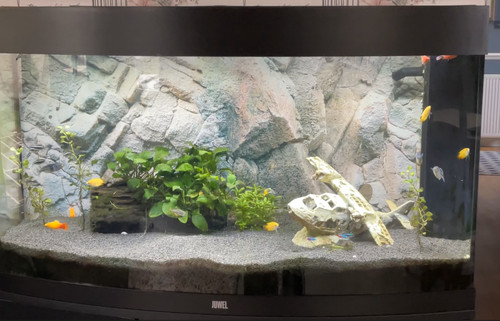 Juwel vision 180 - aquarium, with