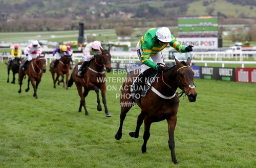 2020 champion hurdle - 2020,