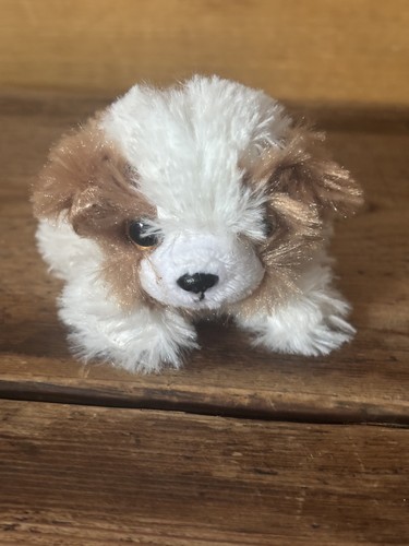 Russ petooties pets shih tzu - shih,