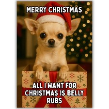 Cute Chihuahua Dog Christmas