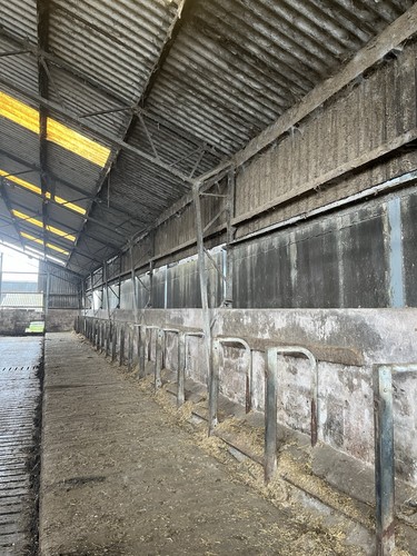 Steel farm building - farm,