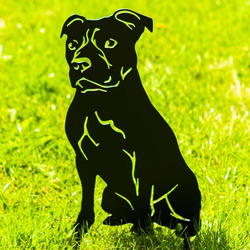 Staffordshire terrier garden - terrier,