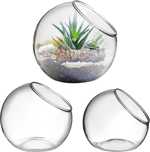 Yardwe pcs terrarium - yardwe,
