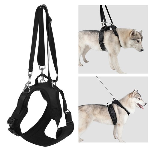 Dog lift sling help - lift, front