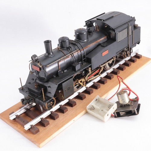 Highly detailed early aster - highly,