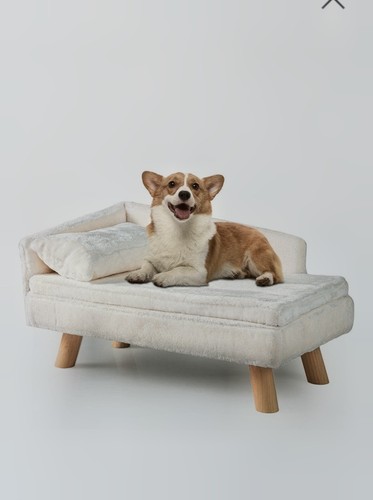 Raised dog sofa pet cat - cat, puppy