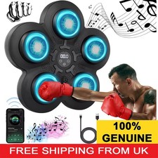 Smart Punching Boxing