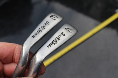 Arnold palmer the standard - the,