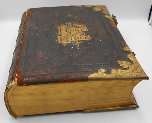 The illustrated national - illustrated,