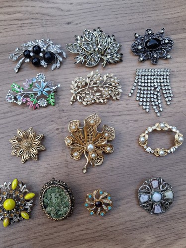 Job lot brooches - lot, costume