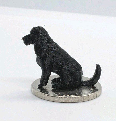 Black cocker spaniel - cocker,