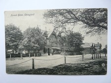 Chingford. Forest Hotel