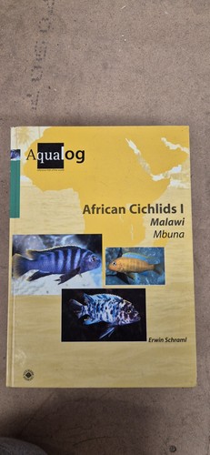 African cichlids malawi - 1,